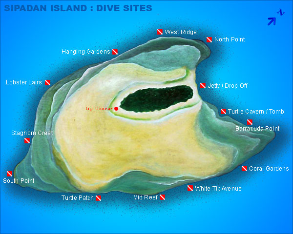 The most popularly recommended dive sites are the Turtle Cavern Barracuda 