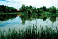 Paya Indah Wetlands